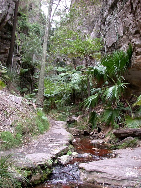 Wards Canyon